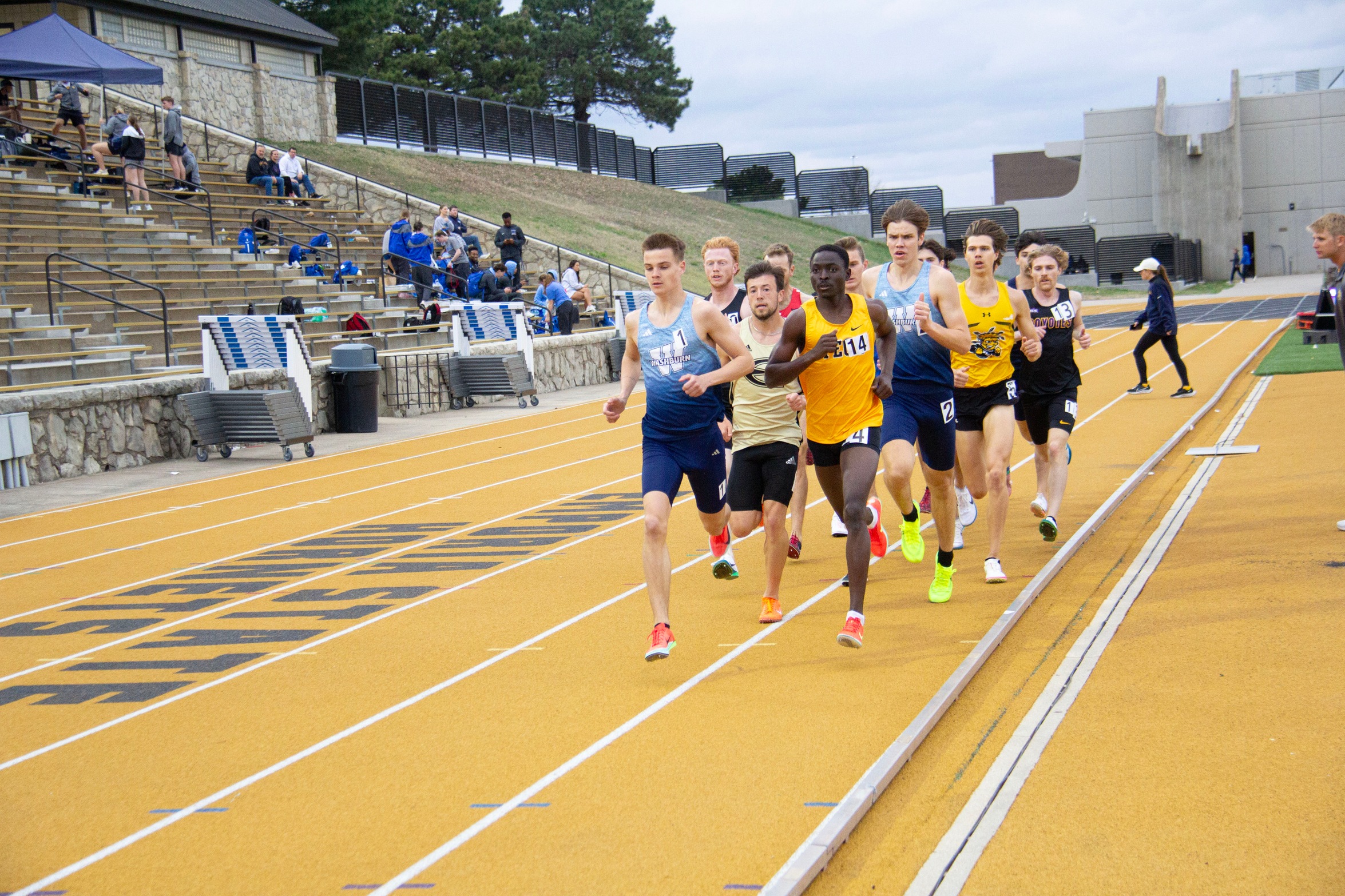Tigers Break Records at Regionals