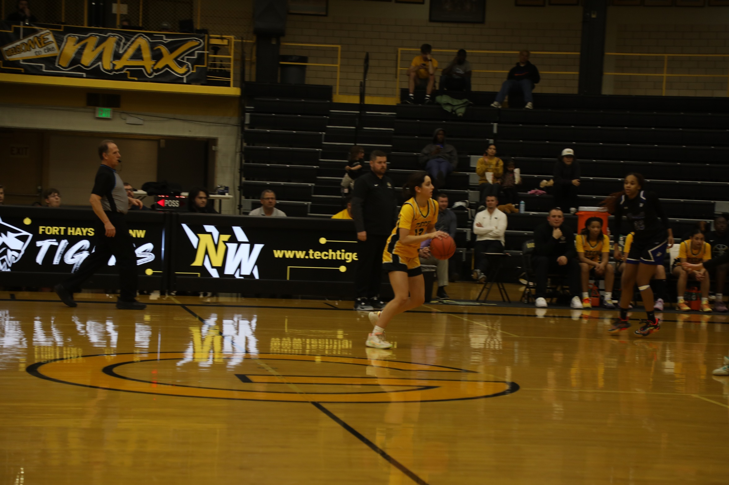 Lady Tigers Fall to Cowley