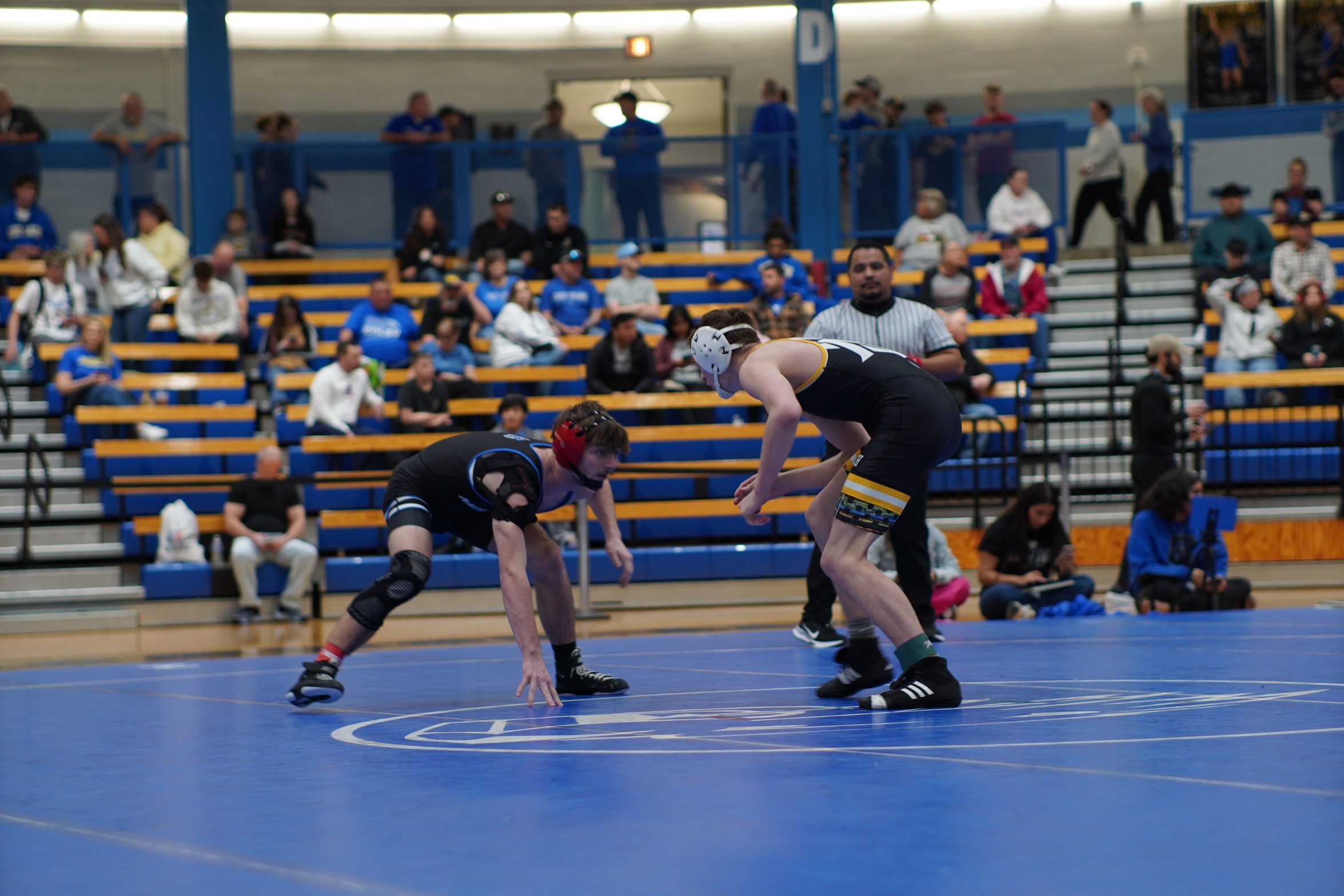 Tigers Place 8th at District Championships